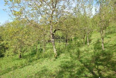 Teren intravilan si cladire in Apuseni, Blajeni, Hd - 10