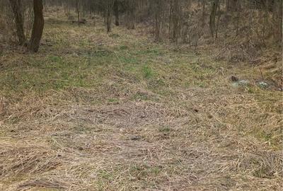 Casă cu 3 camere în Sânpaul - 7