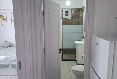 Garsonieră decomandată în Craiovița Nouă - 4