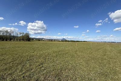 Teren intravilan Rasnov, loturi de 500 mp incepand cu 14900 euro - 6