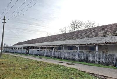 Teren de 1300 mp, în Central - 1