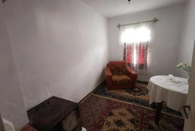 Casă cu 4 camere cu Teren 4212 Mp în Lupșa de Sus - 2