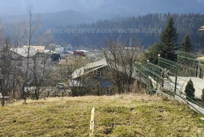 Teren Construcții intravilan de 439 mp, în Zamora - 1