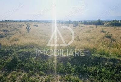 Teren de vanzare Preajba - 5