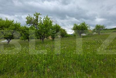 Teren intravilan, 34 ari intravilan, zona Unirea - 16