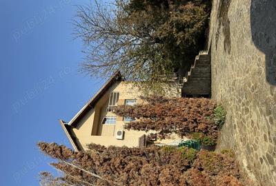 Casa de vanzare pe caramidari - 8