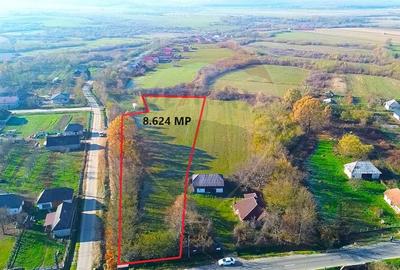 Teren Construcții intravilan de 8624 mp, în Pomi