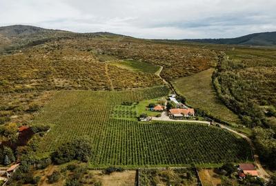 Proprietate specială, de 1,000 mp, în Ghioroc - 1