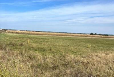 Teren de 2480 mp, în Rădăuți