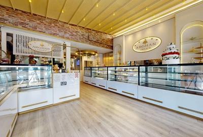 Spatiu comercial cu teren Arcul de Triumf - 5