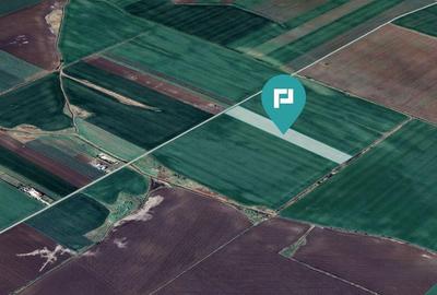 Teren 30.000 mp cu acces asfaltat Peciu Nou - 1