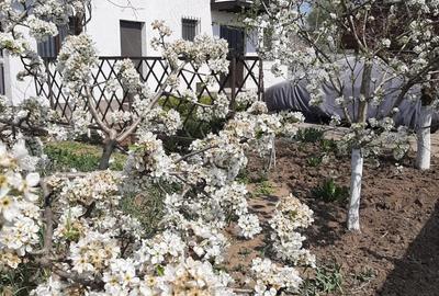 Casă în Gruiu - 5