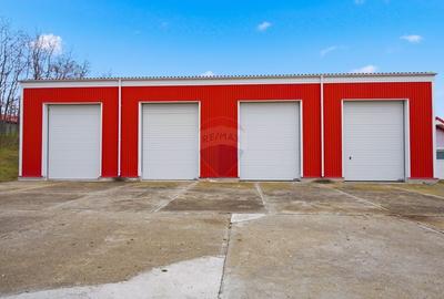 Teren Construcții intravilan de 43708 mp, în Scobâlțeni - 12