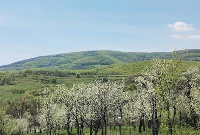 Teren de 1400 mp, în Gârbova - 7