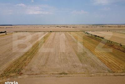 Teren de 7500 mp, în Sălcioara - 2