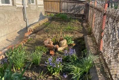 Casă cu 4 camere în Central - 2