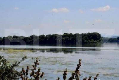 Teren de 120000 mp, în Divici - 4