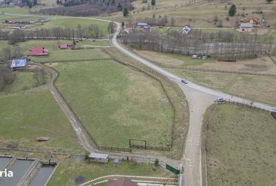 Spațiu comercial, în Plaiul Foii - 6