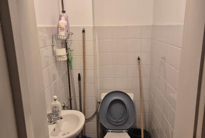 2 camere Cismigiu - Brezoianu 71 mp - 6