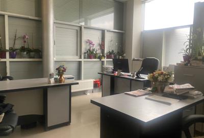 HALA PRODUCTIE + TEREN CALEA BUCURESTI - 1