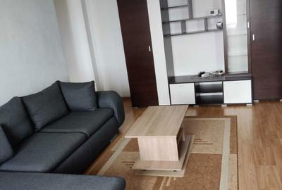 Apartament cu 2 camere semidecomandat în Tilișca - 6