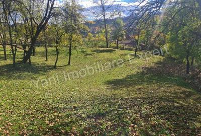 Teren de vanzare in comuna Arefu, jude? Arge?. - 12