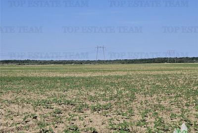 Teren de 219413 mp, în Florești - 4