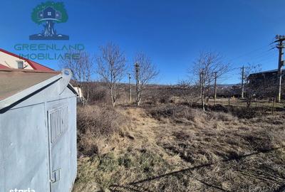 Teren de 1650 mp, în Ciurea