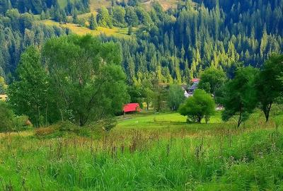 Spațiu comercial, în Câmpeni - 16