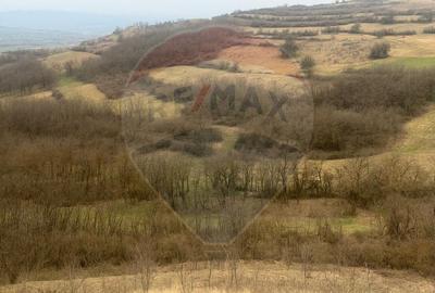 Teren agricol extravilan de 18800 mp, în Crișeni - 4