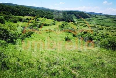 Teren Construcții intravilan de 10200 mp, în Feleacu