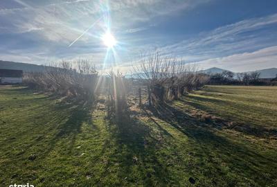 Spațiu comercial, în Rășinari - 5