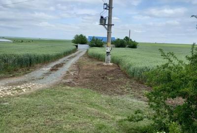 Casă cu 5 camere în Corbu - 3