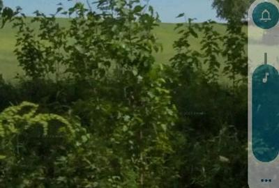 Teren 6500m2 Oncesti, Bacau - 2