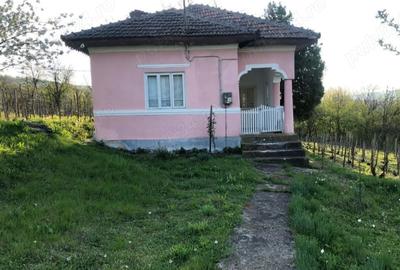 Casă cu Teren 5000 Mp în Gura Motrului - 2