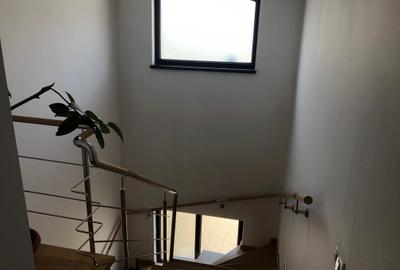 Vila pretabila Locuit/Afacere, S+P+1E+M, 450 mp, teren 800 mp - 48