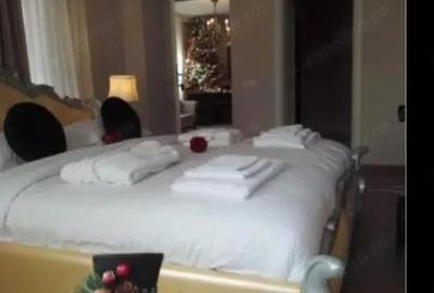 Pensiune de vanzare la cheie, 11 camere, piscina ?i jacuzzi Ra?nov - 12