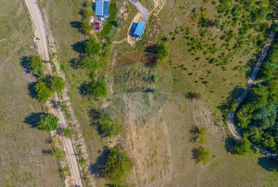 Teren extravilan 6,014mp | Holbav | BRASOV | COMISION 0| - 9