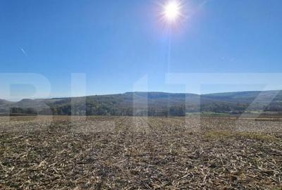 Teren extravilan, 17.000 mp, zona Almasu Mic - 1