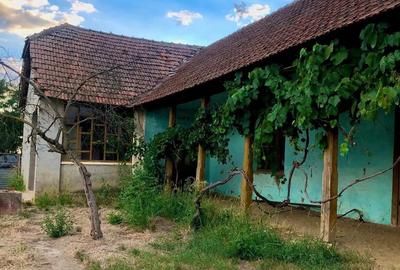 Casa de vinzare in comuna ghilad - 3