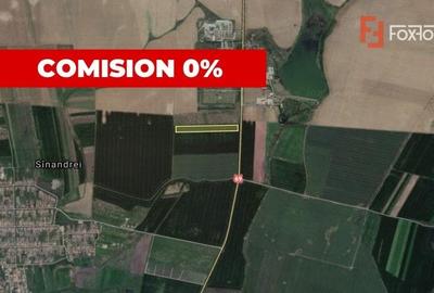 Teren Agricol | Opurtunitate investitie | Sananadrei - ID V713 - 1