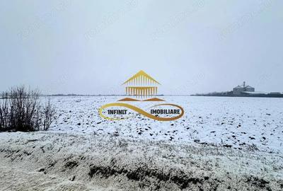 Teren de 4579 mp, în Schineni (Săucești)