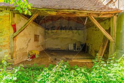 Casă cu 4 camere cu Teren 2914 Mp în Hoghiz - 15