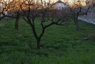 Casă cu 5 camere cu Teren 600 Mp în Giarmata - 1