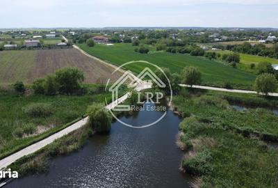 Teren de 10400 mp, în Dascălu - 7