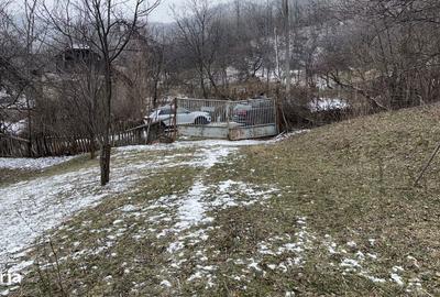 Teren de 4652 mp, în Șotrile - 15