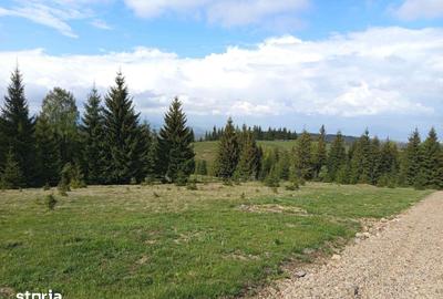 Teren de 700 mp, în Tiha Bârgăului - 8