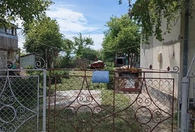 Casă cu Teren 5741 Mp în Lunca Mureșului - 2