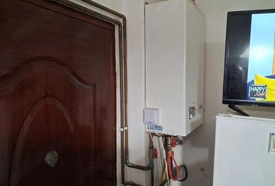 Garsonieră nedecomandată, mobilată în Elisabetin - 1