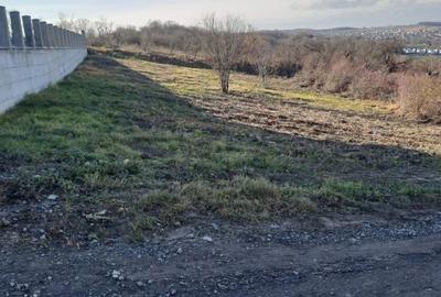 Teren de 900 mp, în Central - 3